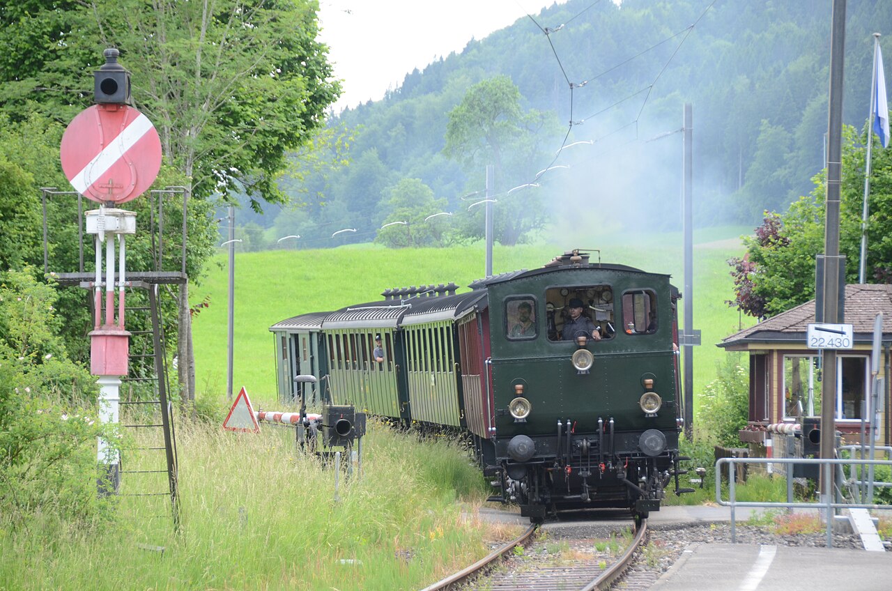 Dampfzug des Dampfbahn-Vereins Zürcher Oberland