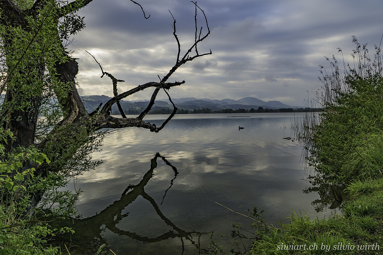 Pfäffikersee mit Spiegelung
